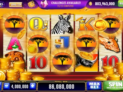 Modo Ruleta Sí o No screenshot